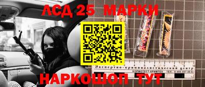 крисы Коммунар