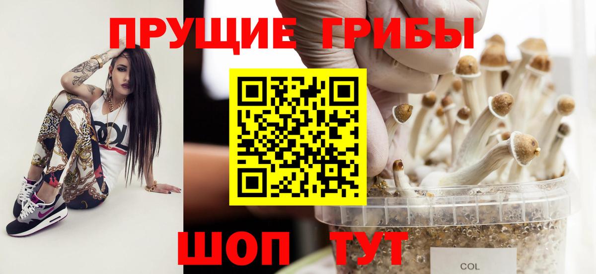 Галлюциногенные грибы Magic Shrooms  Псилоцибиновые грибы мицелий  Тихорецк  Вход с VPN 